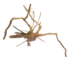 Driftwood Selected DW18 - 45x30x25cm