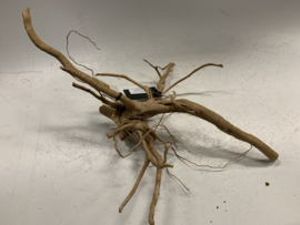 Spiderwood Selected SW72 - 60x43x32cm