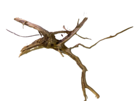 Driftwood Selected  DW51 - 35x20x15cm