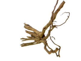Driftwood Selected  DW45- 38x30x23m
