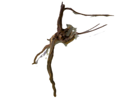 Driftwood Selected DW37 -35x20x10cm