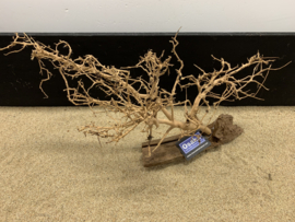Osaka Bonsai Tree nr 1 - 59x20x34cm - aquascaping boom
