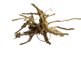 Driftwood Selected  DW46 - 45x28x15cm