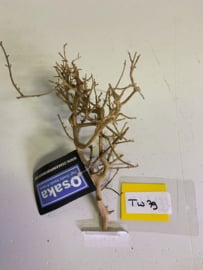 ThaiWood Yellow selected tw79 - 18x15x7 cm