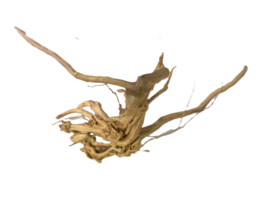 Driftwood Selected DW19 - 55x30x20cm