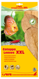 Sera Catappa Leaves XXL 10 stuks