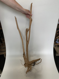 Boutique Stump Selected BS60 - 40x28x106cm