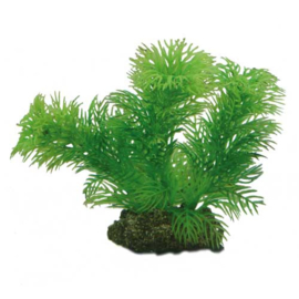 Osaka aquarium kunst plant Egeria 13cm art. 510