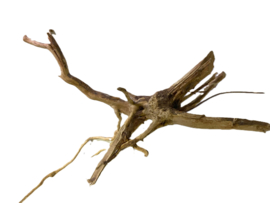 Driftwood Selected  DW51 - 35x20x15cm