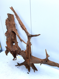 Osaka XL165 uniek aquarium decoratie hout  140x130x40cm