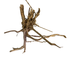 Driftwood Selected DW39 30x30x10cm