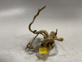 Spiderwood Selected SW94 - 23x20x12cm