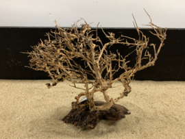 Osaka Bonsai Tree nr 23 - 35x16x37cm - aquascaping boom