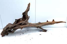 Osaka XL156 uniek aquarium decoratie hout  175x80x45 cm