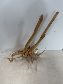 Boutique Stump Selected BS279 - 68x32x33cm