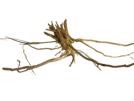 Driftwood Selected DW30 - 55x39x22cm