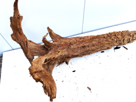 Osaka XL228 uniek aquarium decoratie hout  160x100x70 cm