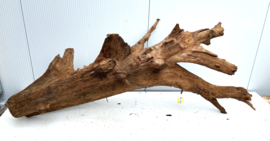 Osaka XL132 uniek aquarium decoratie hout  170x90x55 cm