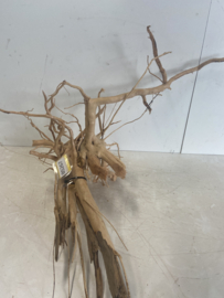 Boutique Stump Selected BS267 70x60x35cm