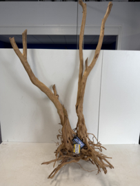 Boutique Stump Selected BS315 - 51x49x120cm