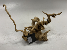 Spiderwood Selected SW97 - 35x15x16cm