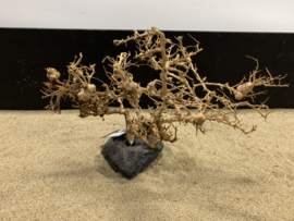 Osaka Bonsai Tree nr 12 - 45x30x30cm - aquascaping boom