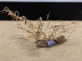 Osaka Bonsai Tree nr 1 - 59x20x34cm - aquascaping boom