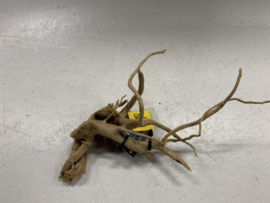Spiderwood Selected SW78 - 34x20x17cm
