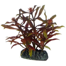 Osaka aquarium kunst plant Nesaea 13cm art. 570