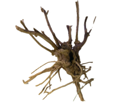 Driftwood Selected DW28 - 40x30x15cm