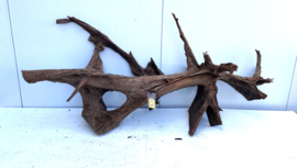 Osaka XL171 uniek aquarium decoratie hout  160x65x55 cm