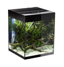 Osaka Glossy aquarium 50 Cube D&N