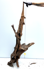 Osaka XL156 uniek aquarium decoratie hout  175x80x45 cm