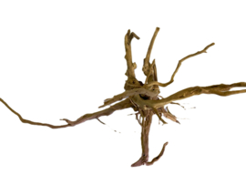 Driftwood Selected  DW55 - 52x30x22cm