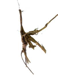Driftwood Selected DW17 - 40x25x10cm