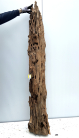Osaka XL123 uniek aquarium decoratie hout 190x35x25cm