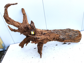 Osaka XL225 uniek aquarium decoratie hout  160x95x55cm