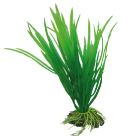 Osaka aquarium kunst plant Cyperus 16cm art. 500