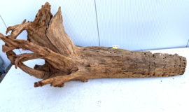 Osaka XL219 uniek aquarium decoratie hout  160x75x65cm
