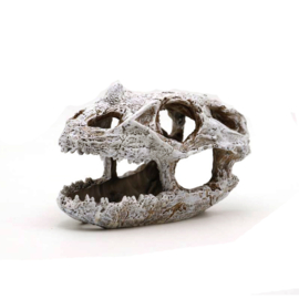 Prehistorische schedel OS-280 - aquarium decoratie