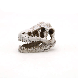 Prehistorische dino schedel OS-281 - aquarium decoratie