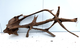 Osaka XL135 uniek aquarium decoratie hout  145x60x50 cm