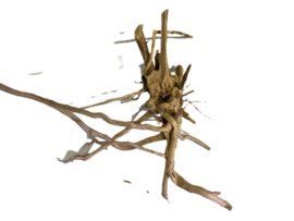 Driftwood Selected DW39 30x30x10cm