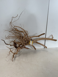 Boutique Stump Selected BS281 - 80x50x32cm