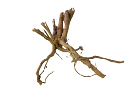 Driftwood Selected  DW45- 38x30x23m