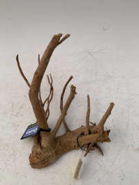 Spiderwood Selected SW9 - 30x36x23cm