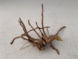 Spiderwood Selected SW8 - 48x20x32cm
