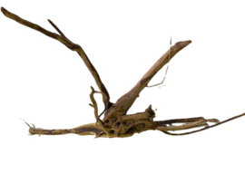 Driftwood Selected DW17 - 40x25x10cm