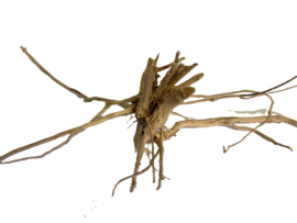 Driftwood Selected DW30 - 55x39x22cm