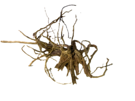 Driftwood Selected  DW43 - 50x30x28cm